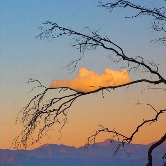 Meet your Posher, Thomas - Picture 1 of 1